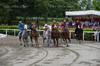 Immagine <b>REG_9171</b>